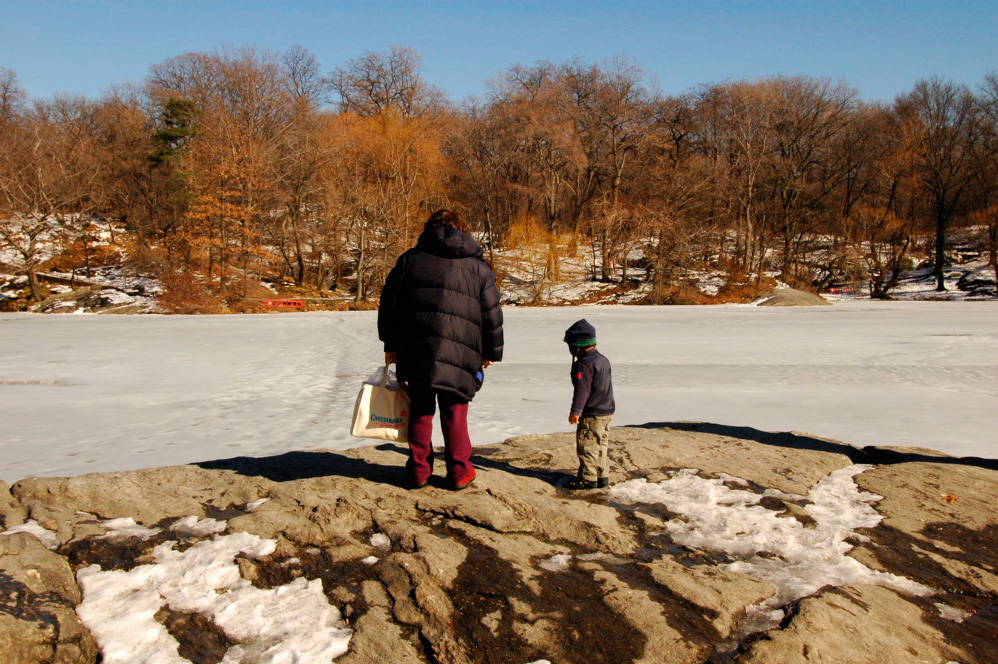 Frozen Lake