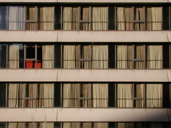 Another Window View