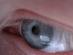 brian eye