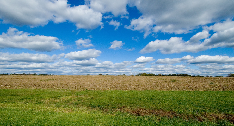 Farm%20Park%20-%20Empty%20Field.jpg