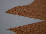 DSCN3601.jpg